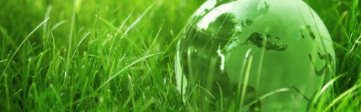 green_banner